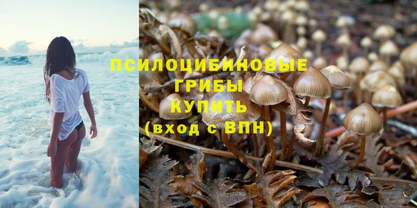 скорость Баксан