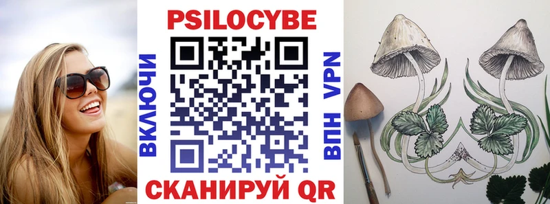 Галлюциногенные грибы Psilocybe  Корсаков 